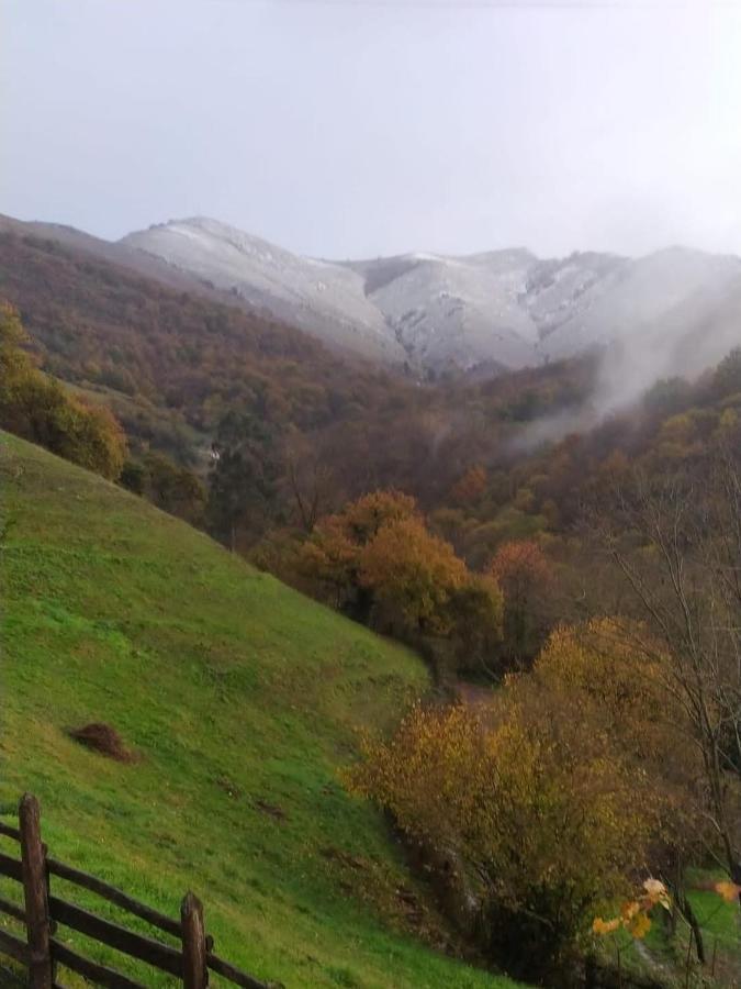 Apartamentos Rurales San Feliz Pola de Lena Εξωτερικό φωτογραφία